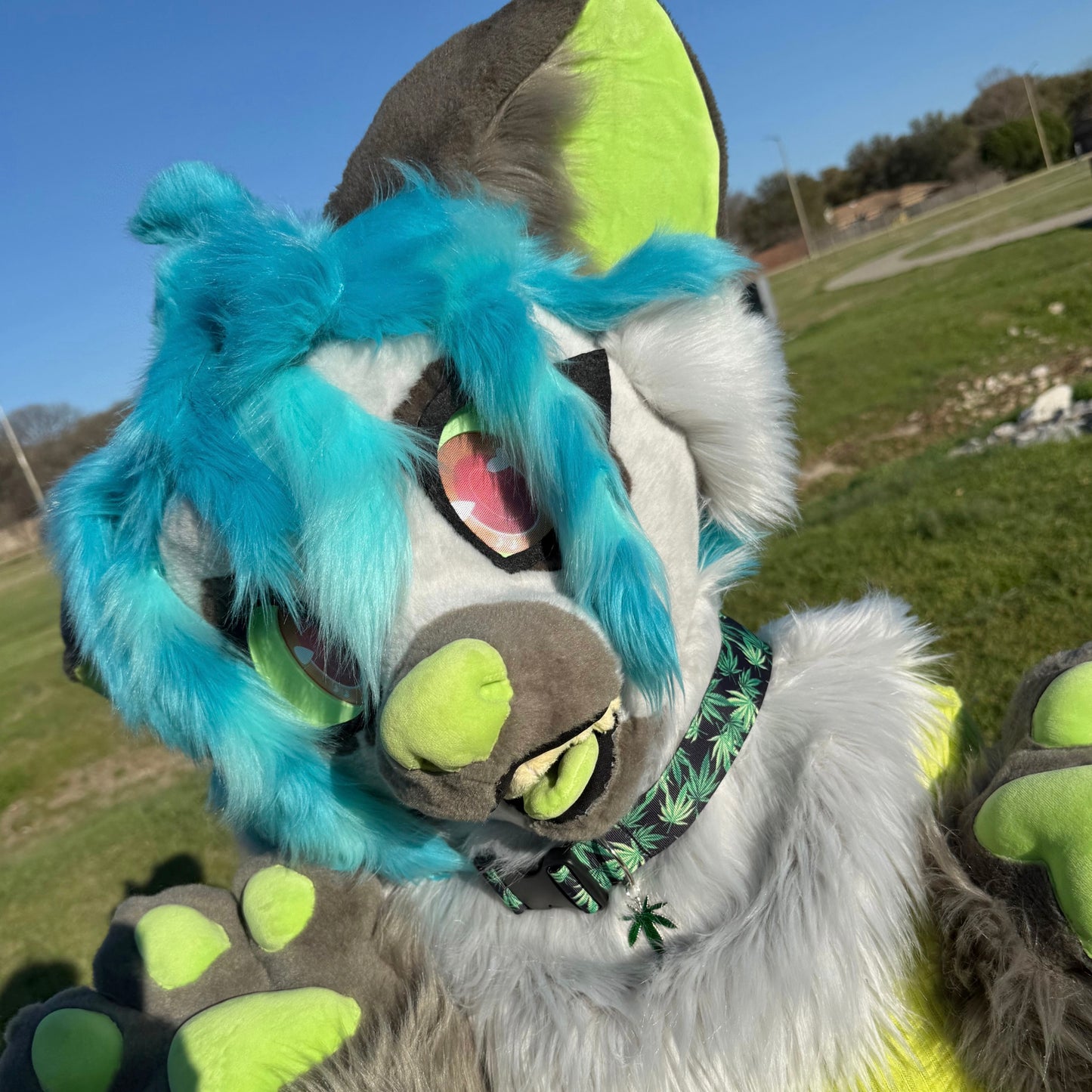 Leaf Fursuit Collar